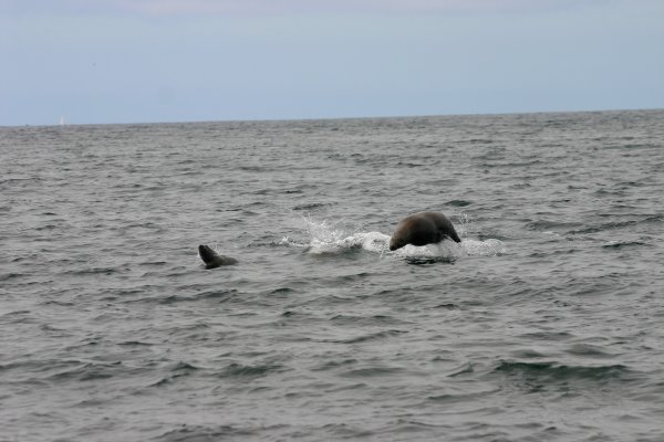 Our escort into Monterey